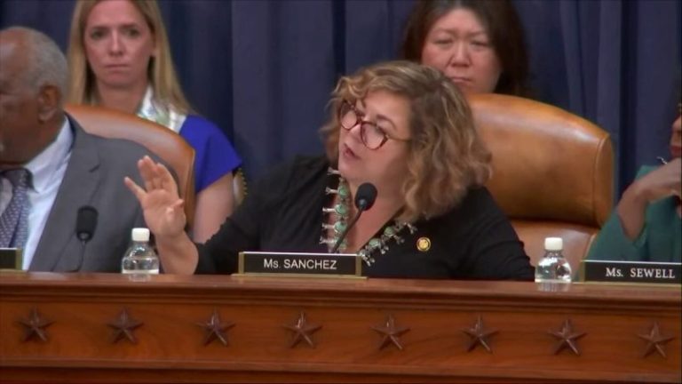 Democrat Congresswoman draws boos over ‘shameful’ sexism remark in committee hearing with Treasury Secretary